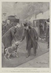 Re Edoardo VII e il cane da raccolta ferroviaria Tim a Paddington